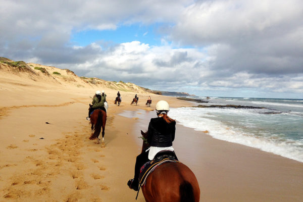 Beach Horse Riding - Mornington Peninsula - Australia