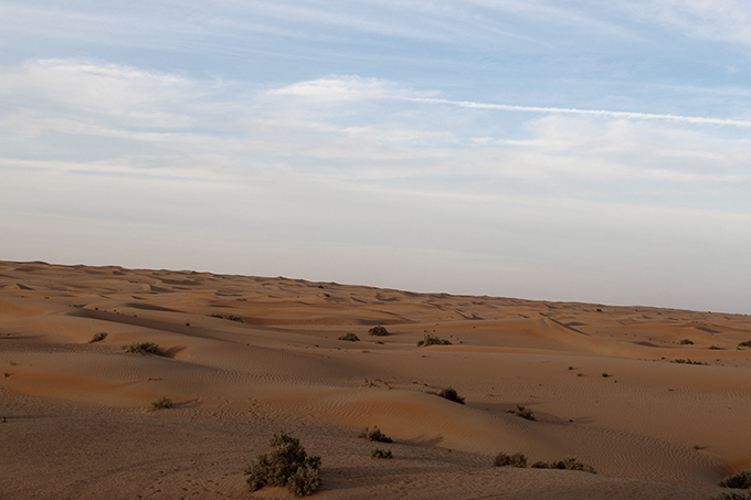 Dubai Desert at evening