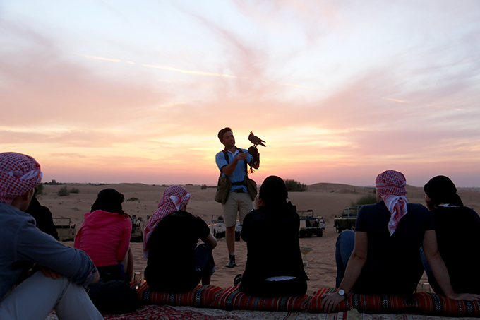 Dubai Falconry at sunset