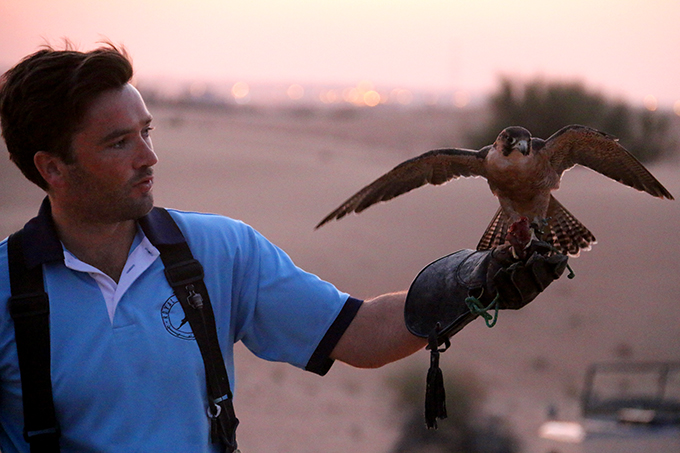 Dubai Falconry