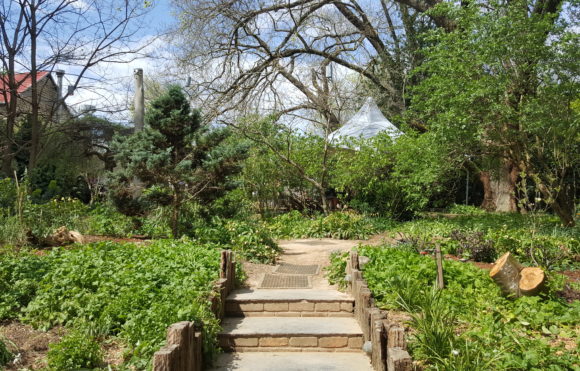 Daylesford Countryside