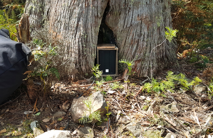 Meteorphonium speaker