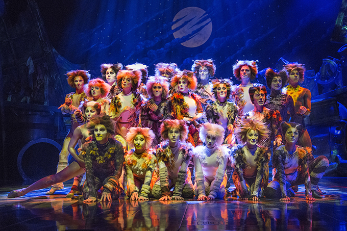 Cats The Musical - Melbourne Girl