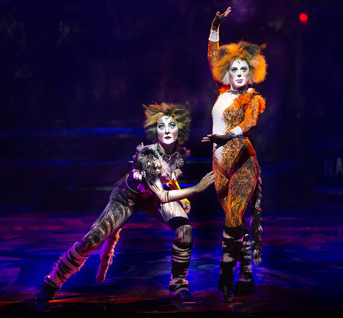 Cats - The Musical