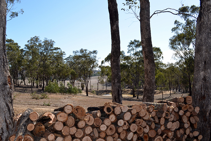 Daylesford Glamping