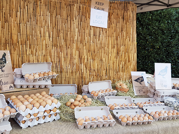 Farmers Markets Eggs