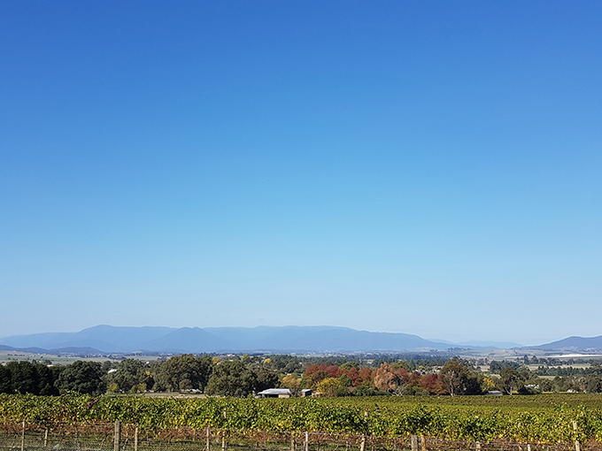 Yarra Valley