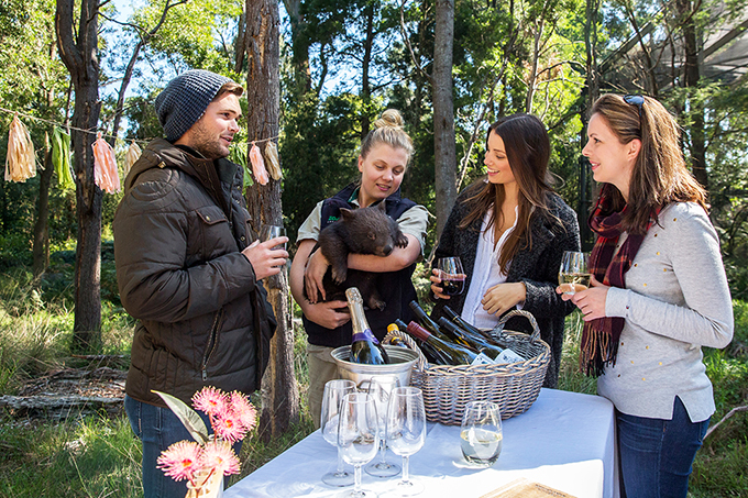 Wine and Wildlife at Healesville Sanctuary