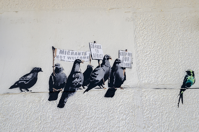 Banksy Birds