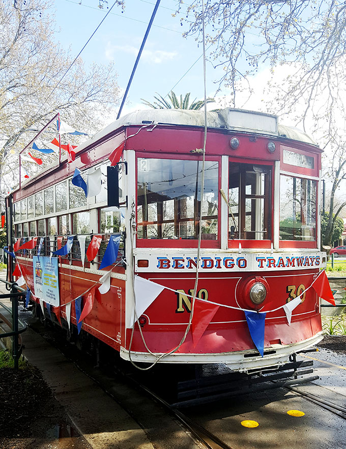 Bendigo Talking Tram