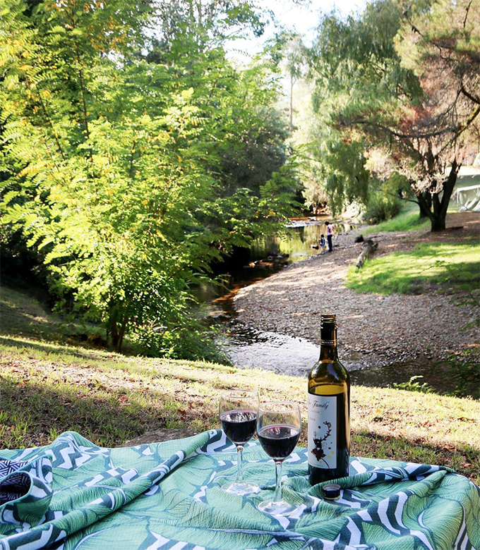 Picnic in Bright - Australia