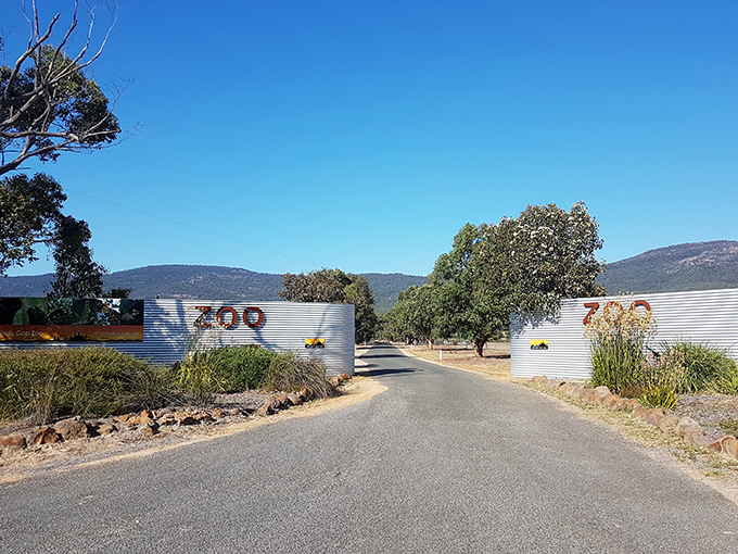 Halls Gap Zoo - The Grampians