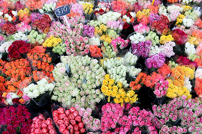 Roses - Dandenong Market