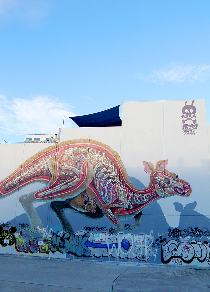 Kangaroo Street Art - Melbourne