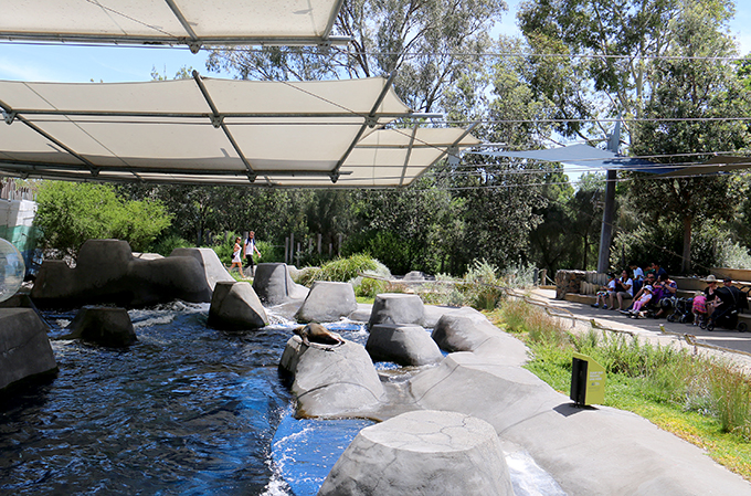 Melbourne Zoo - Seal Enclosure