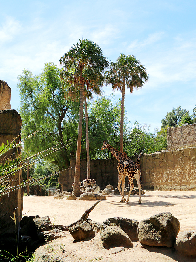 Melbourne Zoo