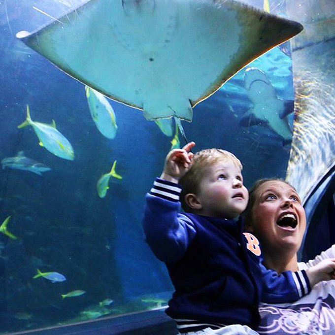 Sea Life Melbourne Aquarium - Melbourne Girl