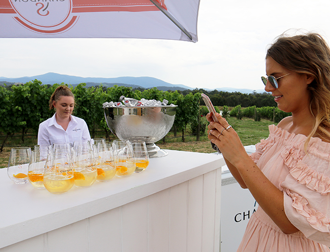 Chandon S - Summer Party in the Yarra Valley
