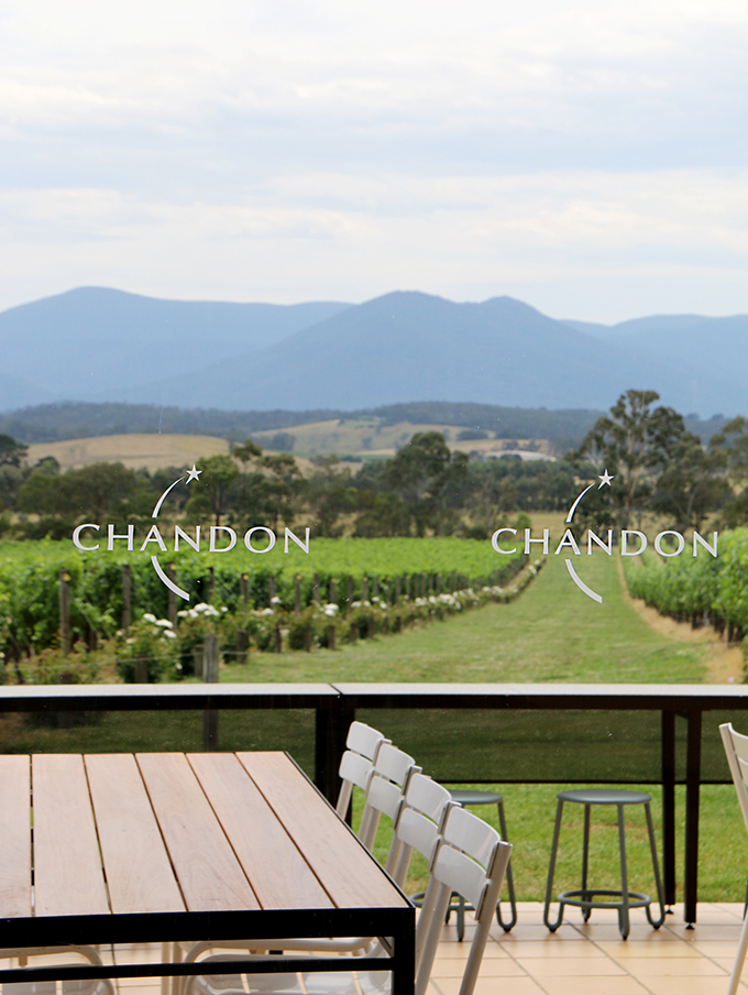 Chandon Winery - Yarra Valley Australia