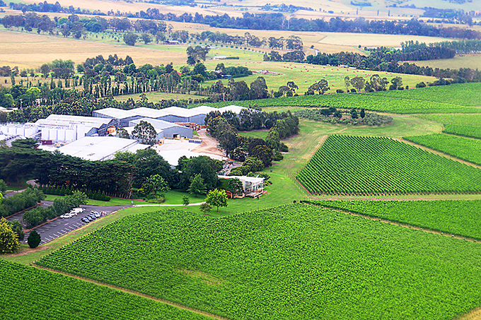View over Domaine Chandon - Yarra Valley Winery - Australia