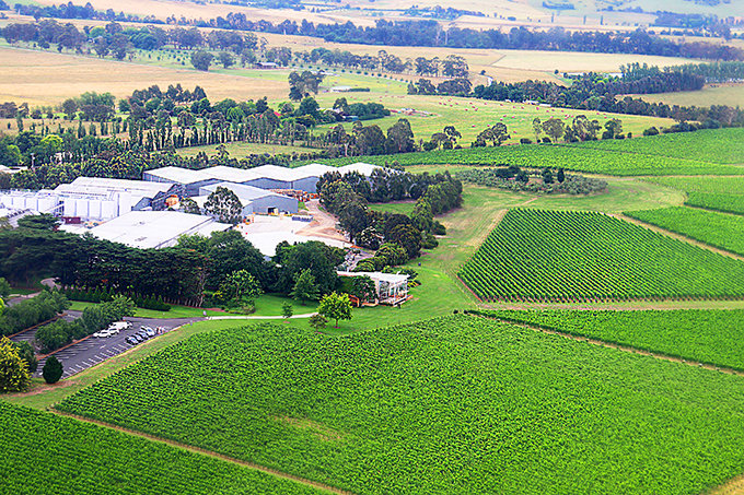 Domaine Chandon - the best winery in the Yarra Valley - MELBOURNE GIRL