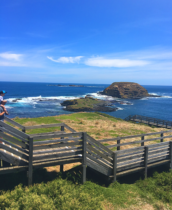 Boardwalk at The Nobbies - Phillip Island