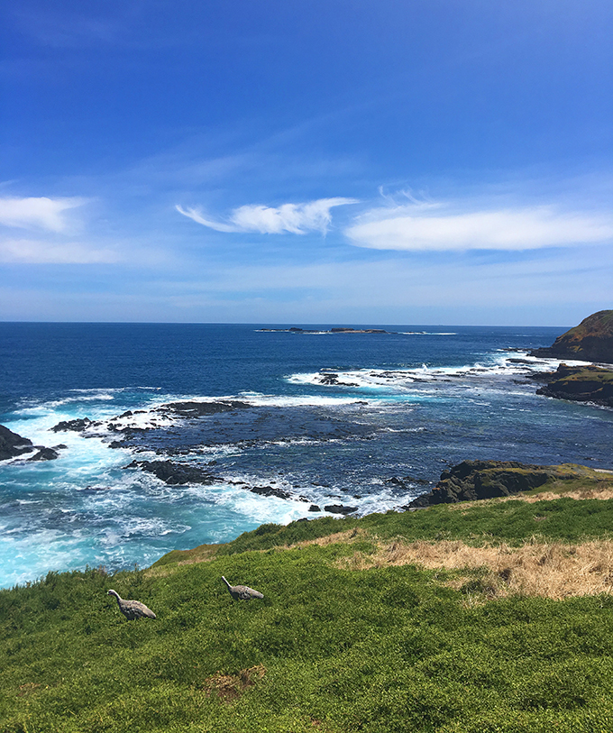 Phillip Island Coastline - Australia