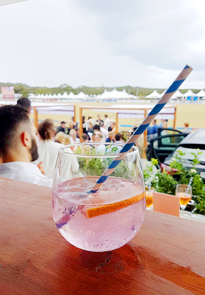 Pink Gin Cocktail at Portsea Polo