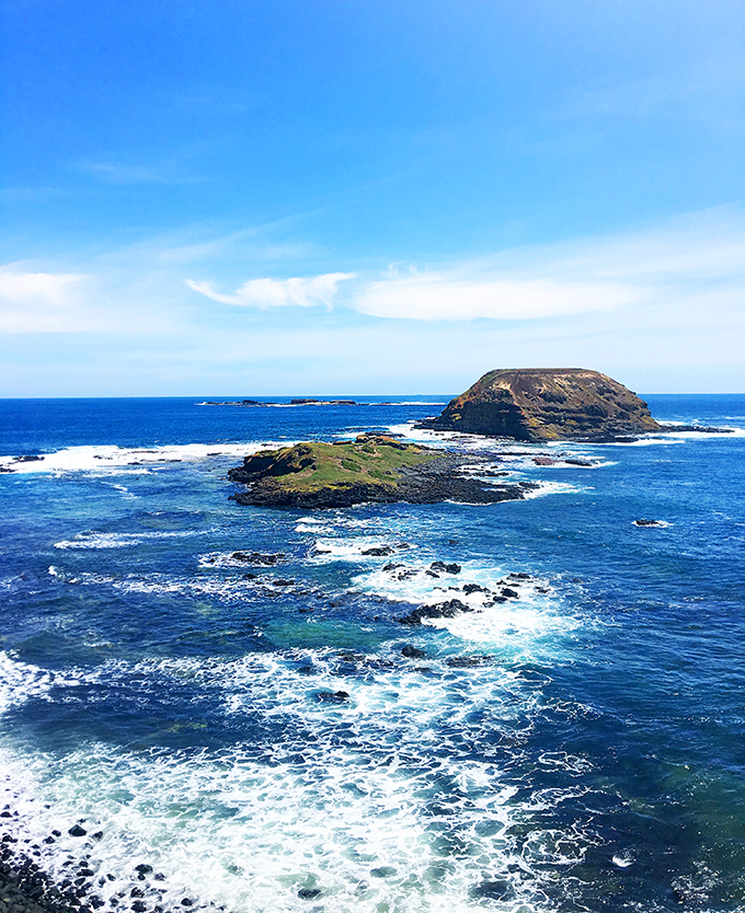 The Nobbies - Phillip Island Victoria - Australia