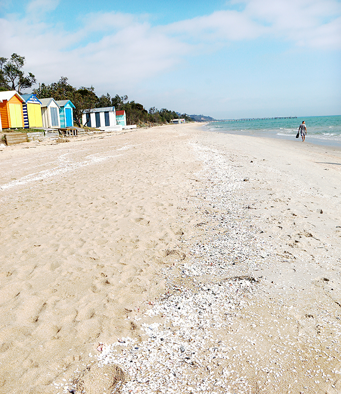 Safety Beach - Mornington Peninsula