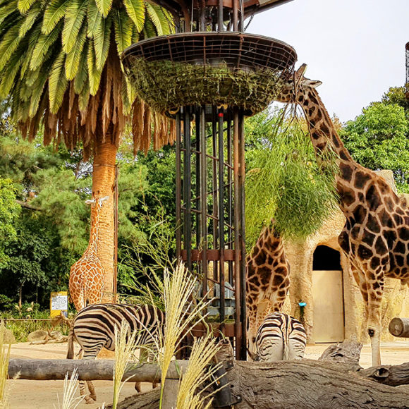 What to do, wear and experience in Melbourne this Winter