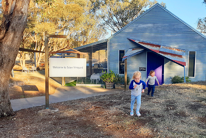 Welcome to Scion Winery - High Country Harvest
