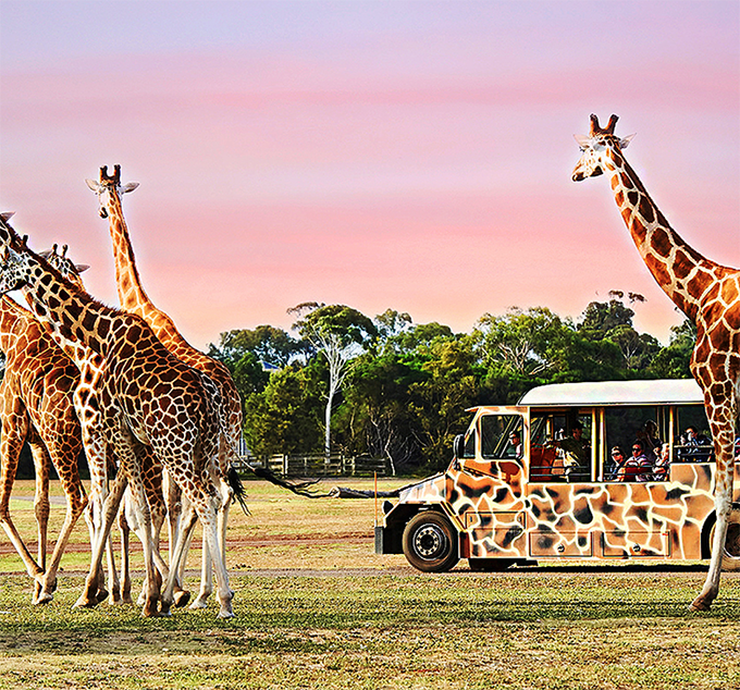 Werribee Open Range Zoo