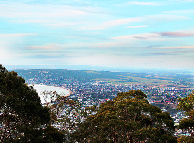 View from Arthurs Seat Eagle - Melbourne Girl